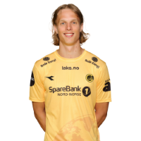 Ulrik Saltnes