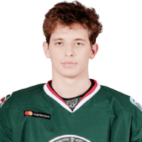 Artyom Galimov