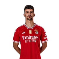 Tomás Araújo