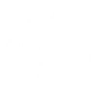 Dynamo Moscow
