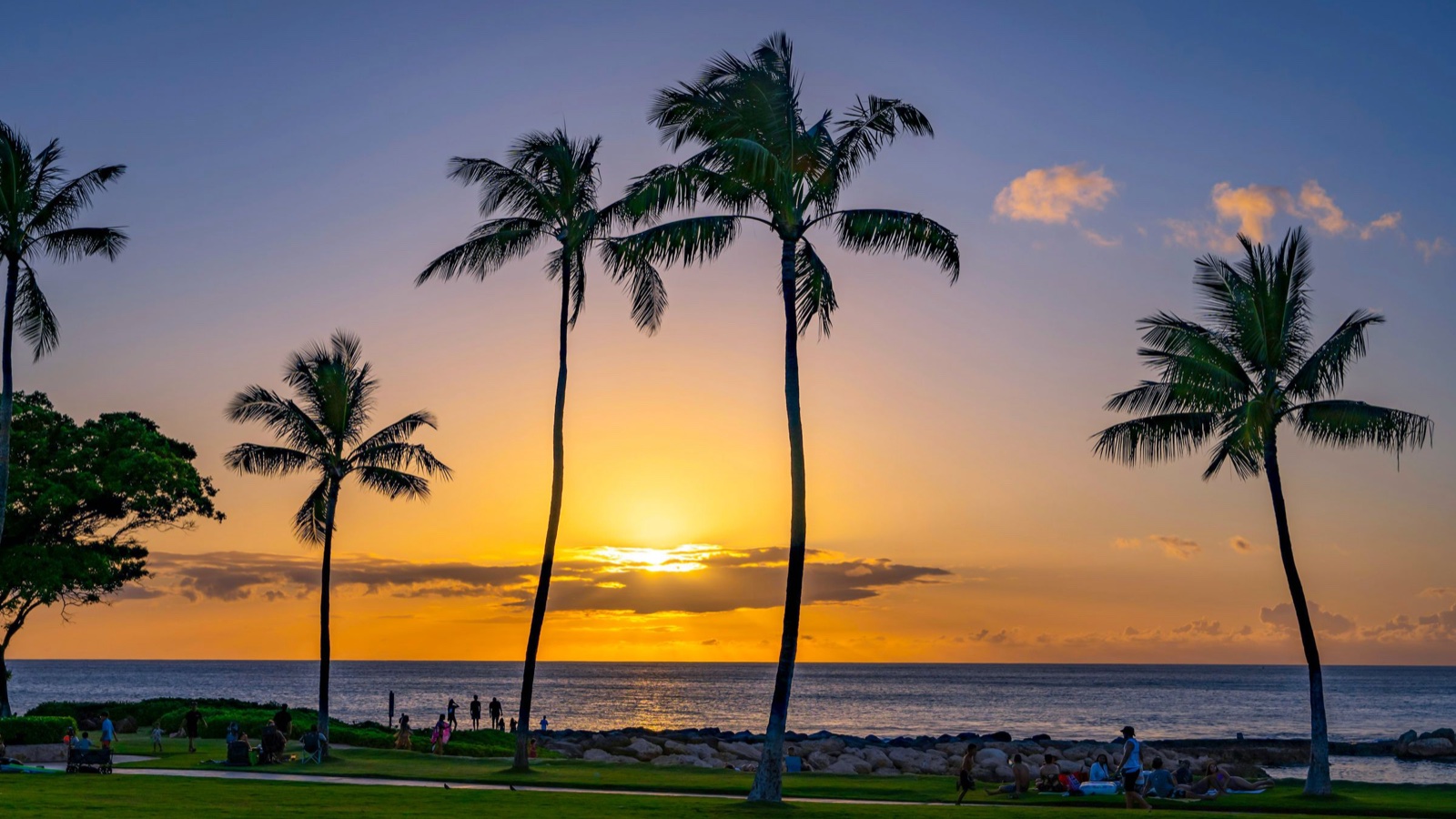 Tall palm trees silhouetted against a golden Hawaiian sunset over the sea